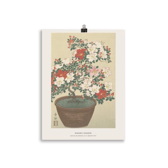 AZALEA BLOOMING IN A BROWN POT | OHARA KOSON – Image 4