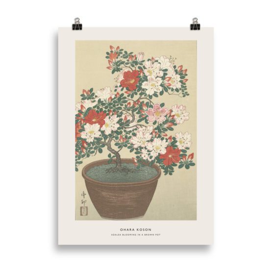 AZALEA BLOOMING IN A BROWN POT | OHARA KOSON – Image 3