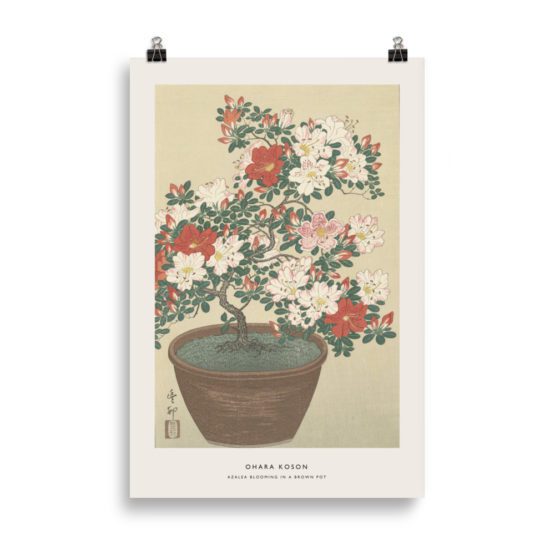 AZALEA BLOOMING IN A BROWN POT | OHARA KOSON – Image 2