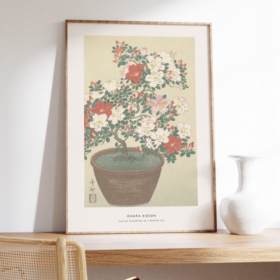 AZALEA BLOOMING IN A BROWN POT | OHARA KOSON